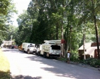 Tree Removal Services