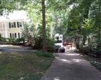 Tree Removal Services