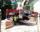 Tree Removal Services