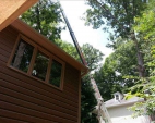 Tree Removal Services