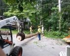 Tree Removal Services