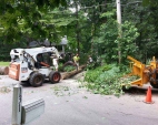 Tree Removal Services