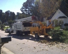 andrews-tree-service
