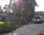 emergency-tree-services