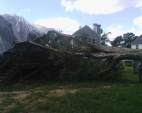 split-tree-3
