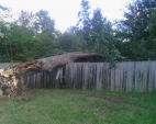 split-tree-4