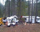 tree-services2