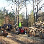 Andrew's Tree Pros sells Barbecue Wood, Firewood, Wood Chips and Mulch