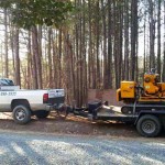 Raleigh, Wake Forest - Stump Grinding & Removal