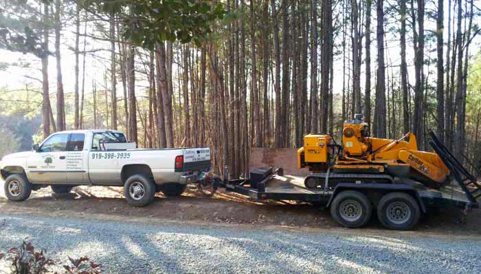 stump grinding tree removal services cutting forest truck raleigh trimming service grinder wake