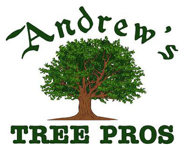 Andrew’s Tree Pros has been in the tree service industry for over 17 years.