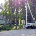 Emergency Storm Damage services by Andrew's Tree Pros of Wake Forest, NC