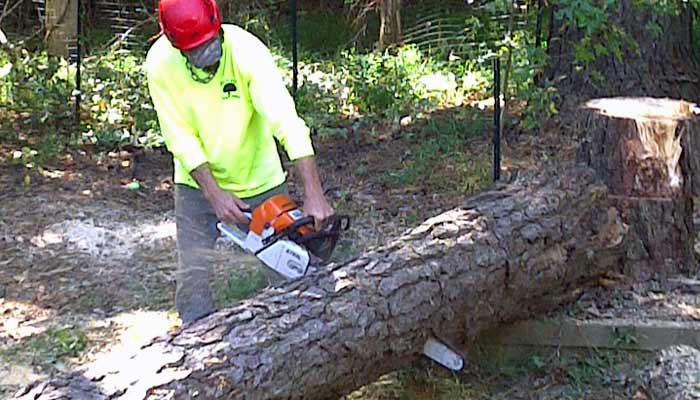 Andrew's Tree Pros Tree Removal Services