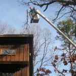 Andrew's Tree Pros provides professional tree trimming, thinning, pruning and removal services.