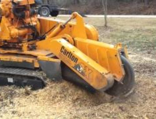 Stump grinder operated with wireless remote…