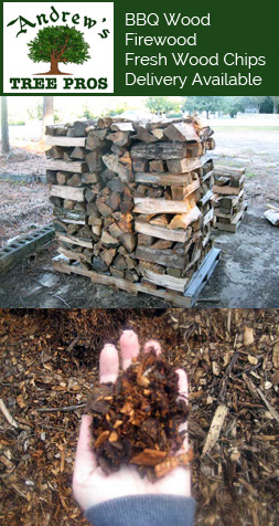 Andrew's Tree Pros also sells BBQ Wood, Firewood and Wood Chips. Contact us for more information on pricing and delivery.